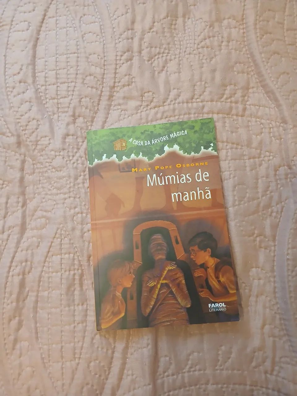 Livro Múmias de Manhã 