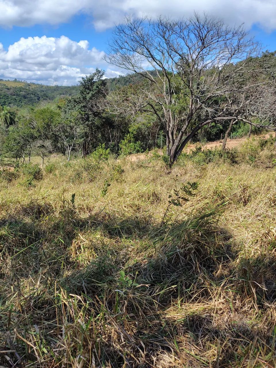 Chácaras em Taquaraçu de Minas  - Foto 3