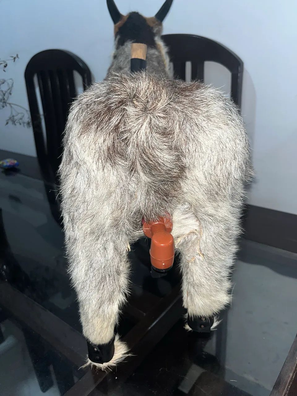 Bode artesanal pra colocar bebida  - Foto 5