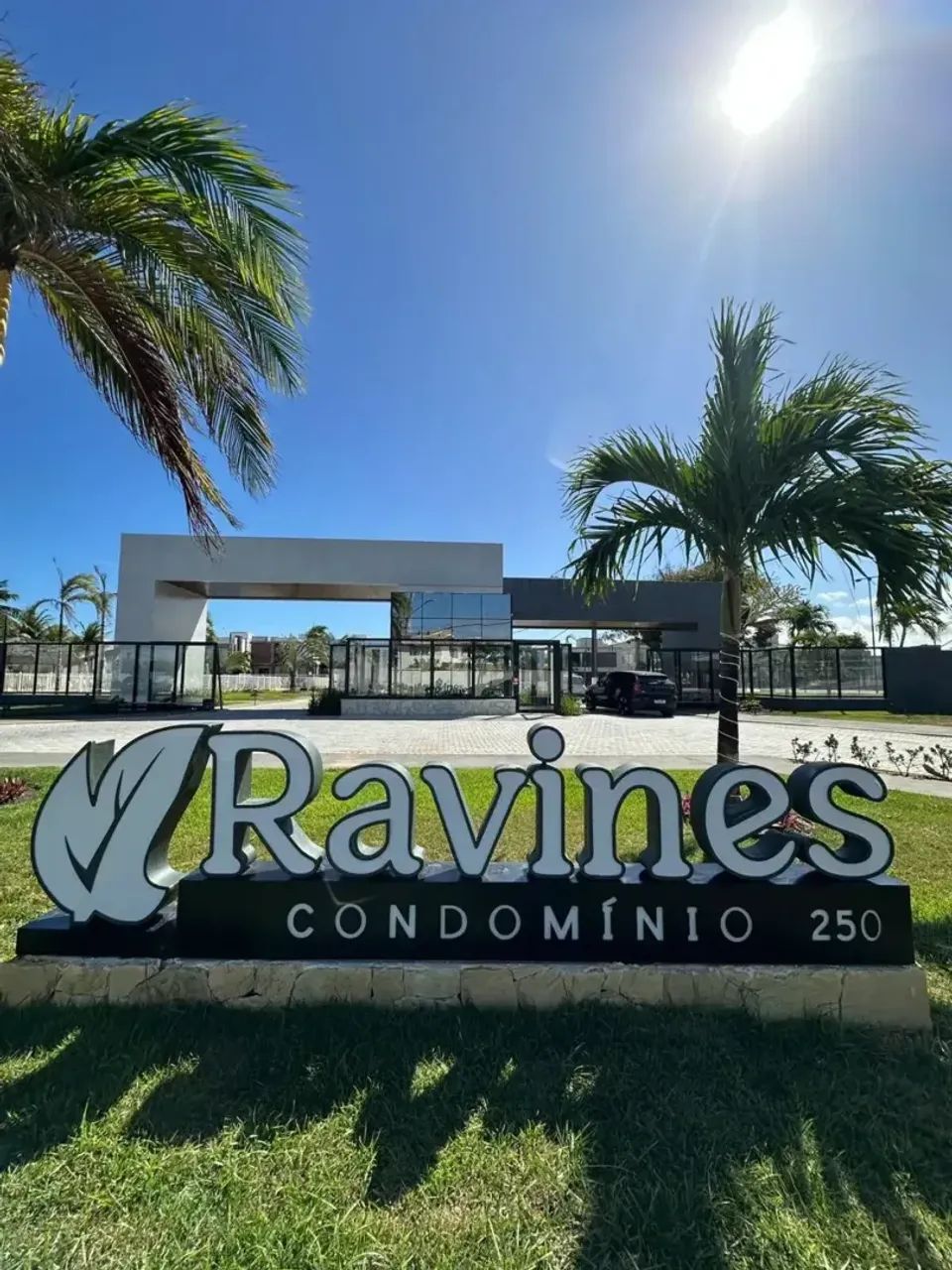 Lote no Ravies-15-1