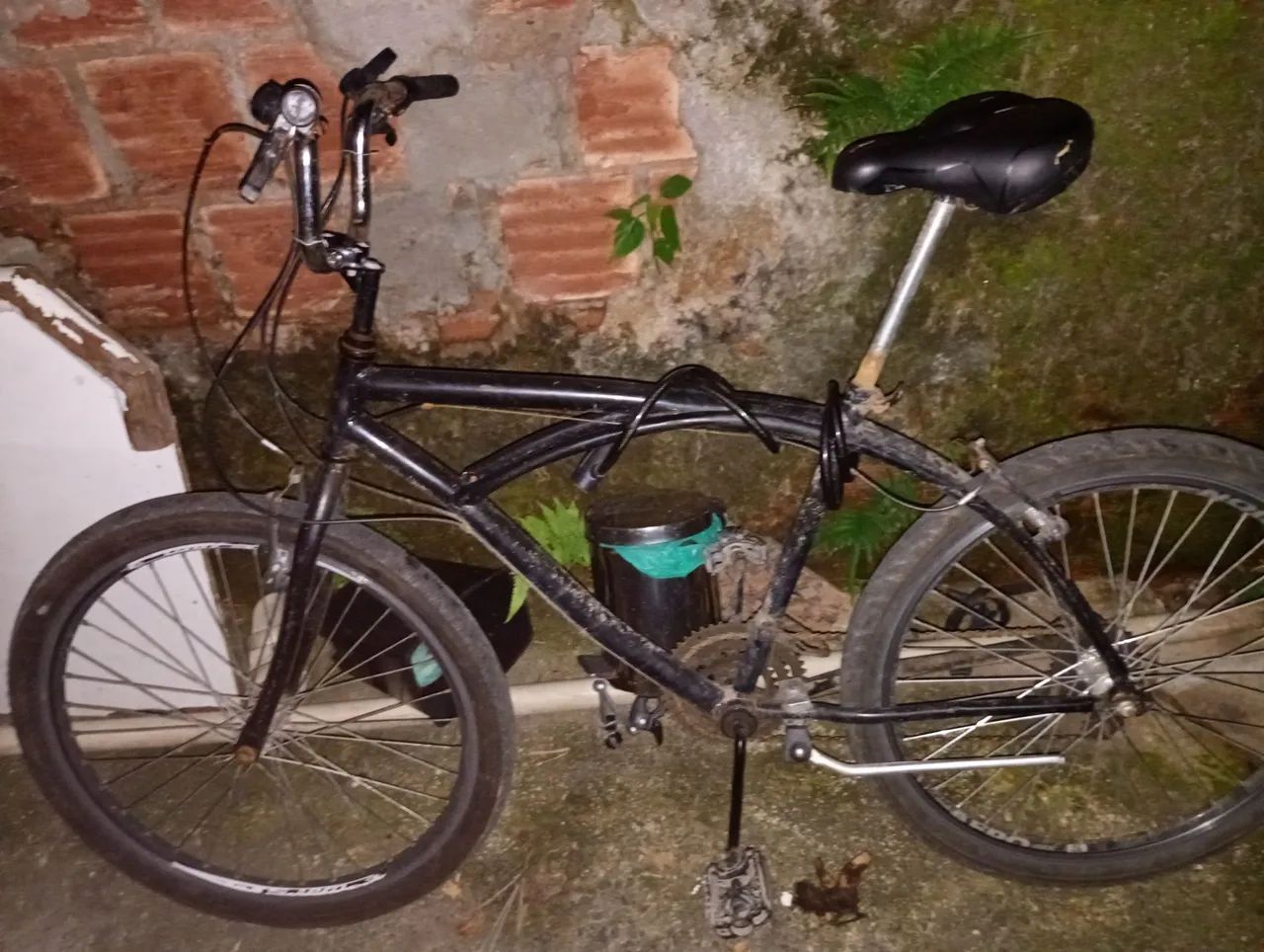 Bicicleta praiana