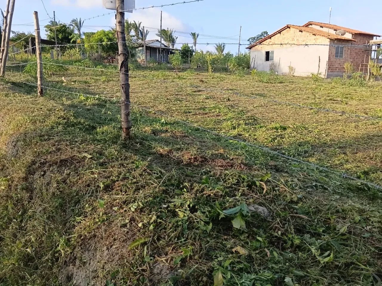 Terreno em Carutapera - Foto 3