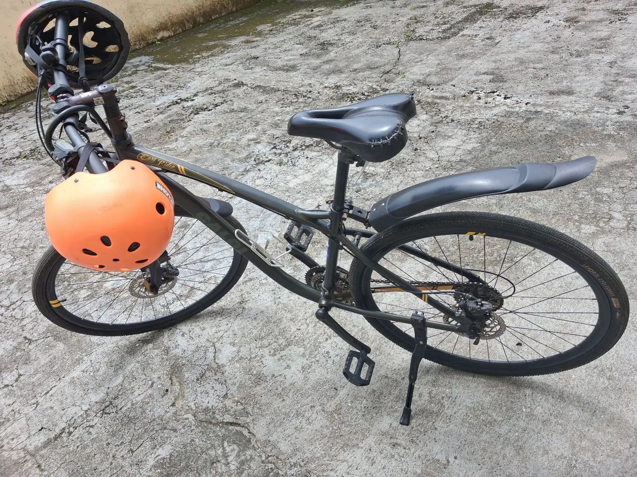 Bicicleta calor EASY RIDER  - Foto 5