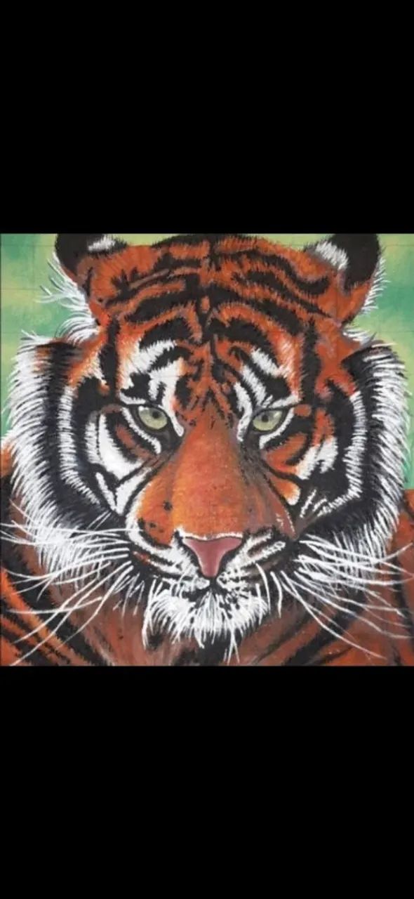 Grafite e Pinturas 