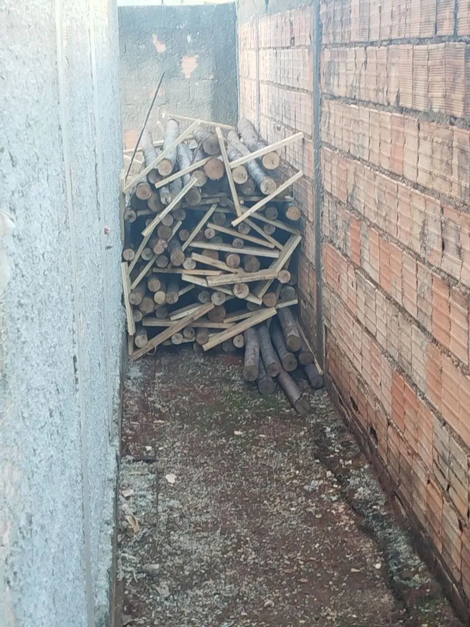 Escoras de eucalipto 