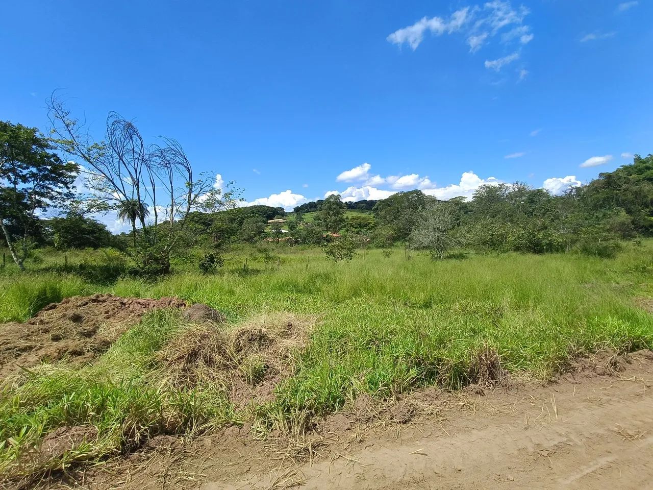CHÁCARAS FINANCIADAS ÁREA CENTRAL DE RIO MANSO. - Foto 5