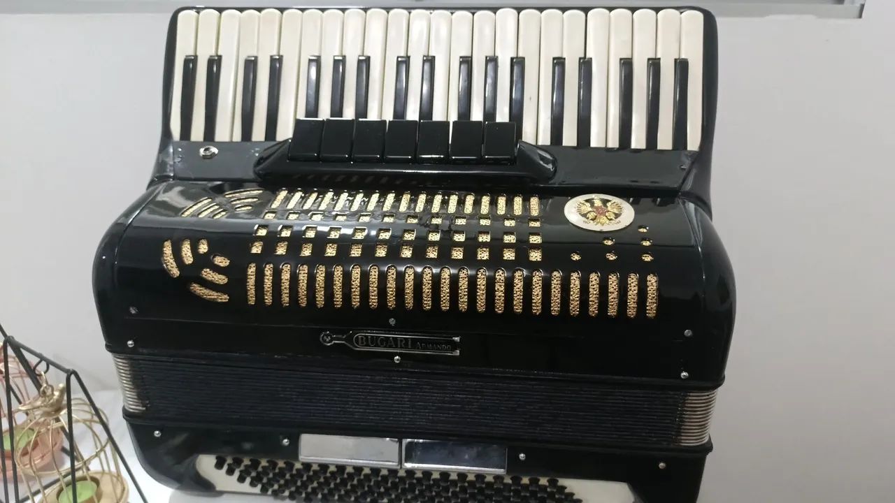 Acordeon 120 baixos 