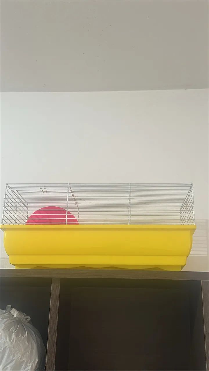 Gaiola hamsters ( NOVA) - Foto 2