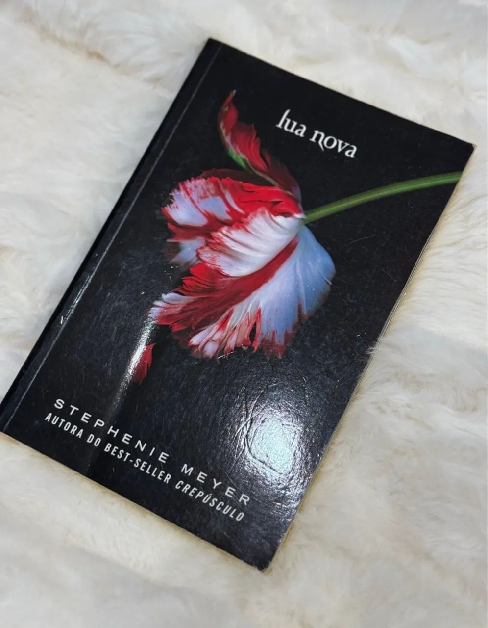 Livro lua nova  - Foto 2