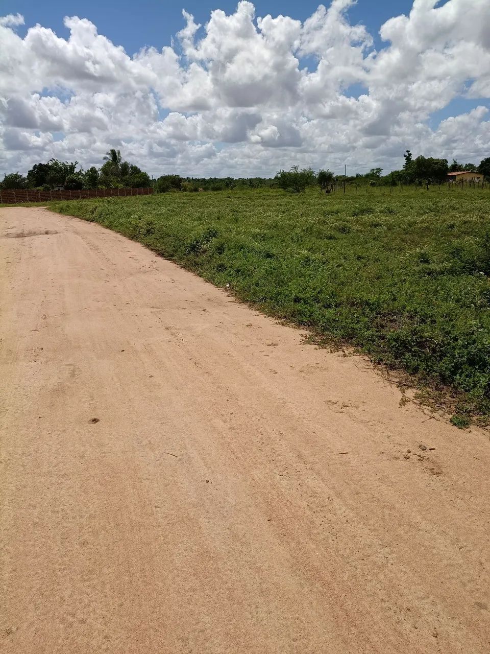 Sítio no Povoado das 3 Estradas. Serrinha. - Foto 4