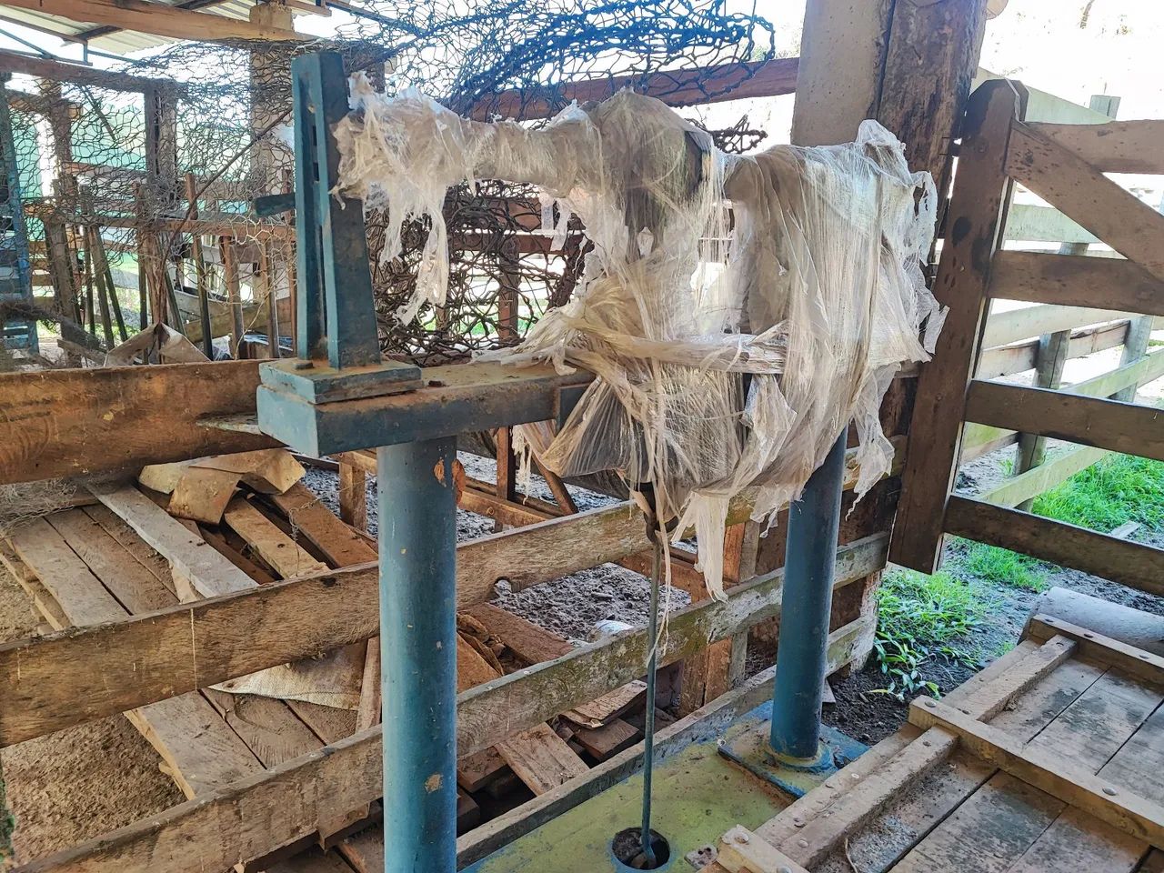 Balança 5 mil kg - Foto 3