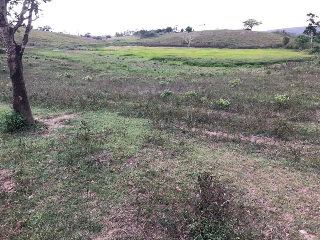 Vendo Fazenda em Guarabira PB