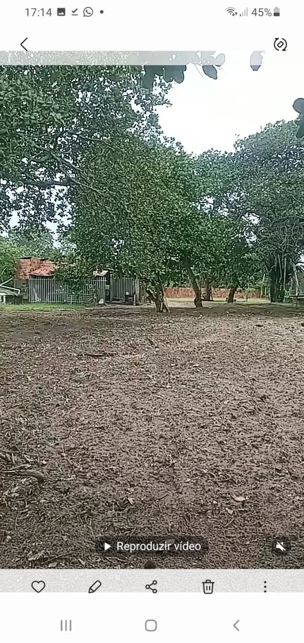  Sítio em Pacajus  7.500m2 - Foto 3