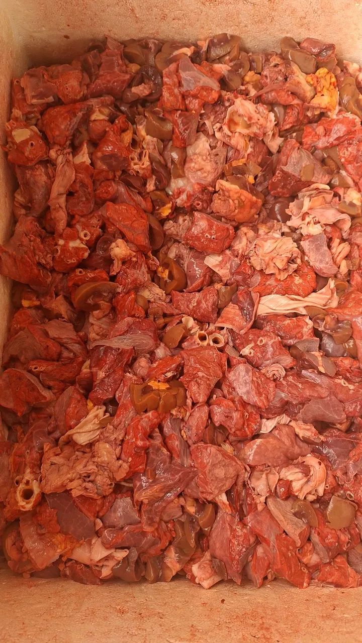 Alimentos ? - Foto 5