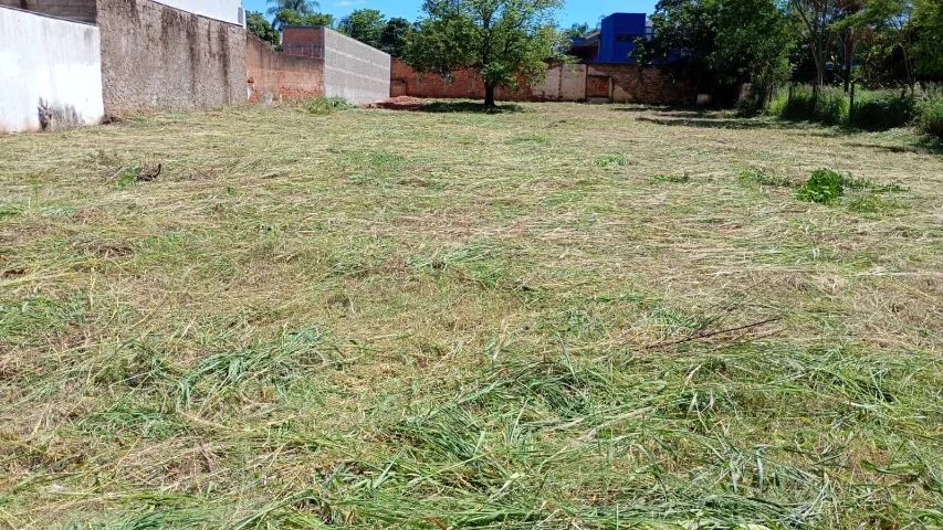 Foto - Jaboticabal - Aparecida