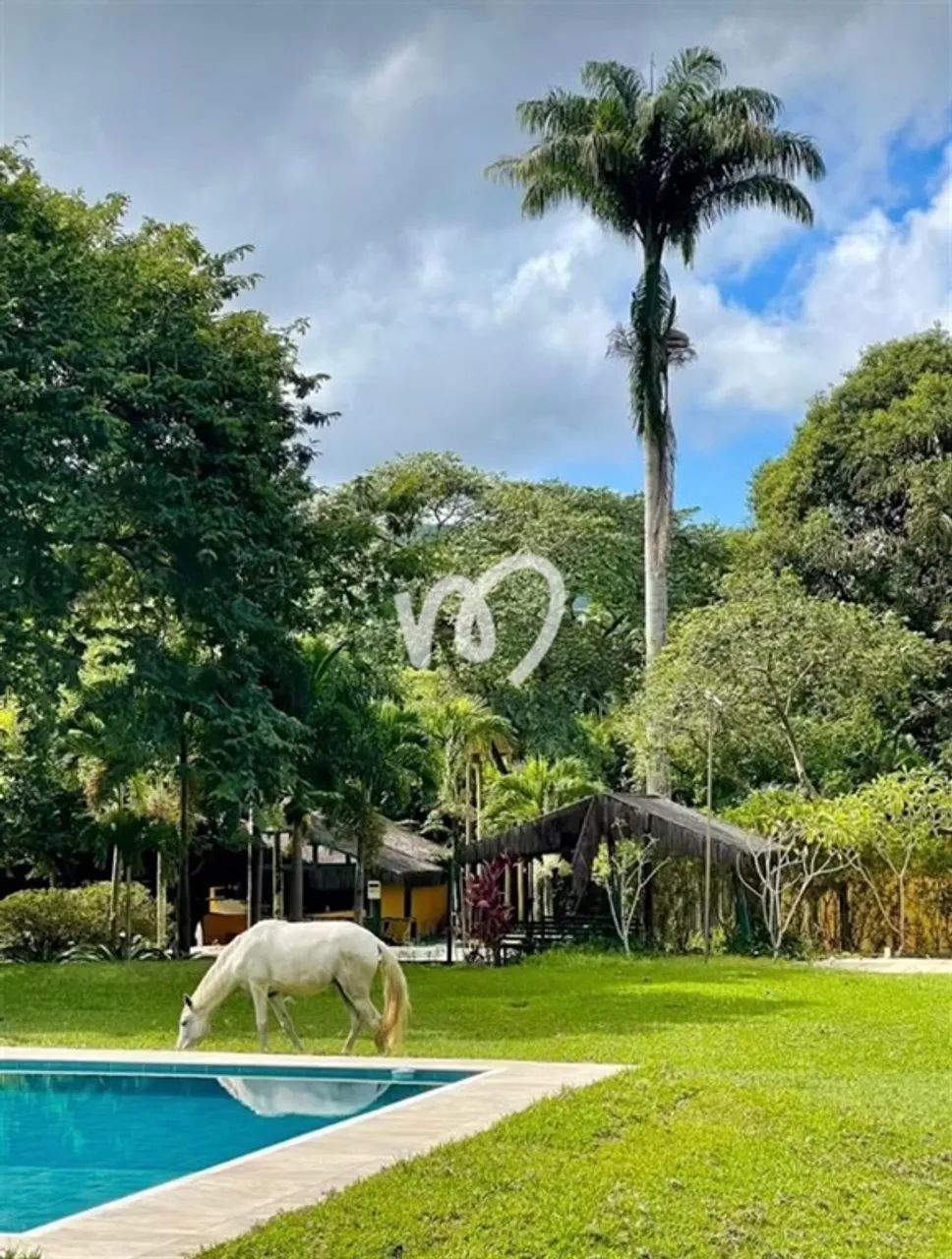 SITIO EM GUARATIBA - Foto 5