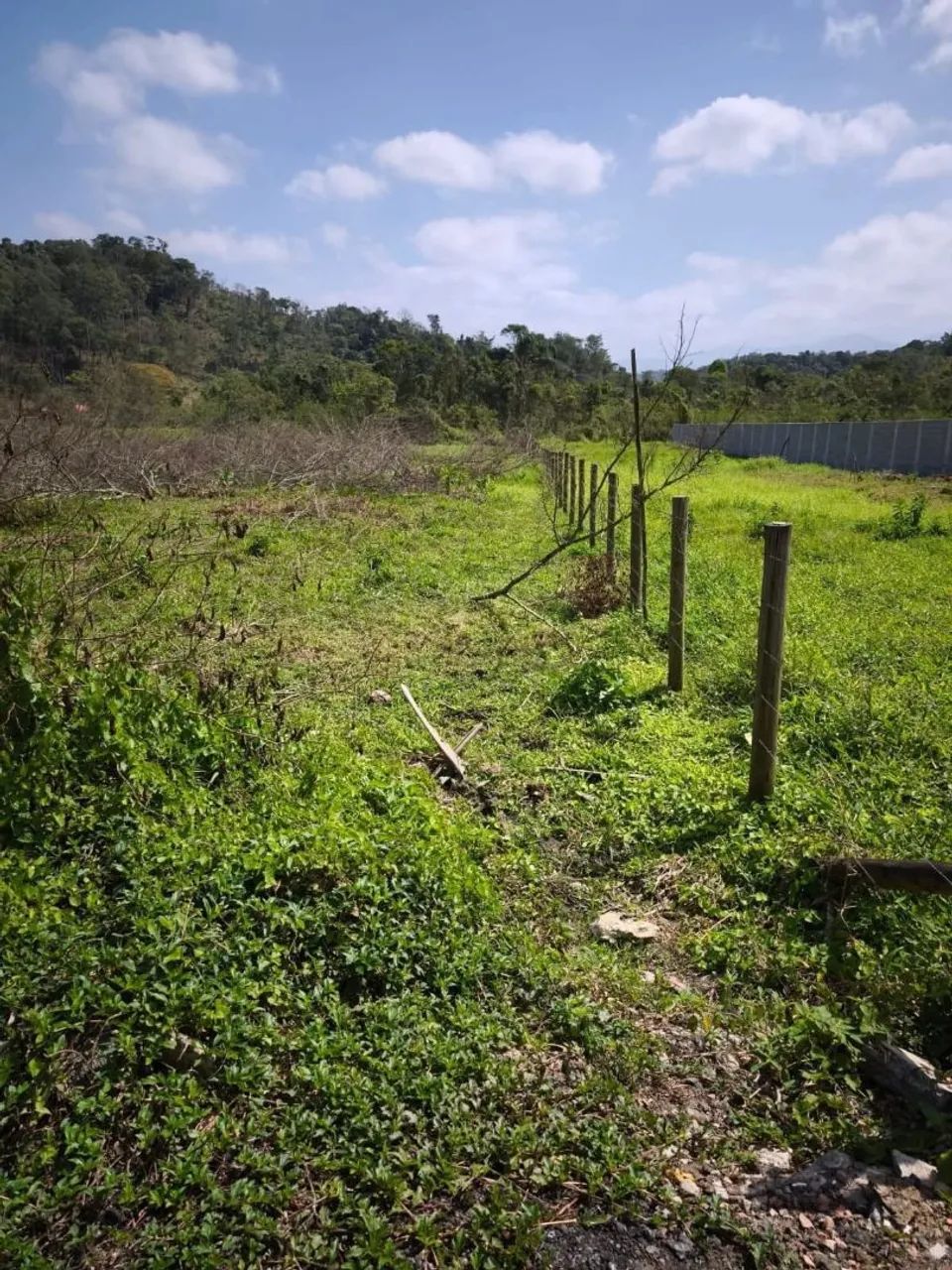 CHACARA MISSÃO VIDA - Foto 3