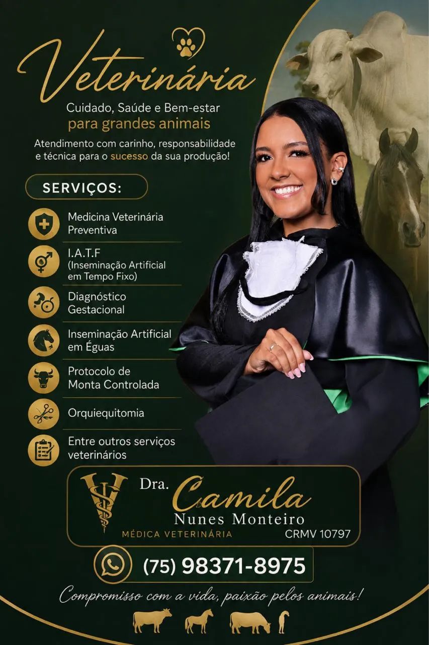 Inseminação em éguas  - Foto 2