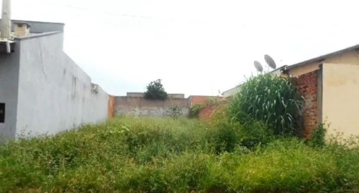 Limpeza de terreno - Foto 2