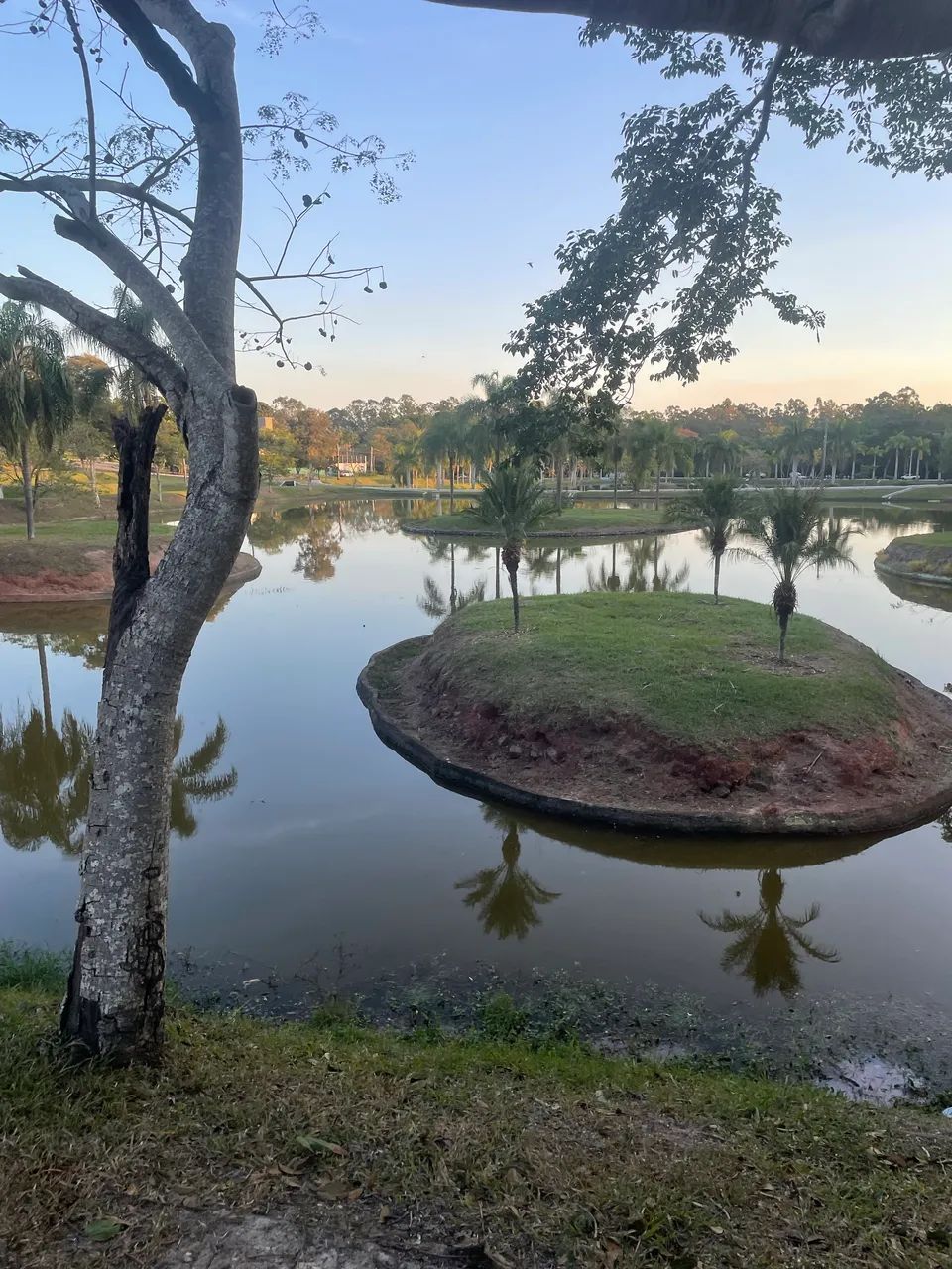 Vendo terreno Estância Árvore da Vida - Foto 4