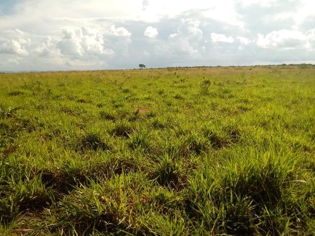 Fazenda em rosário oeste 784 hectares - Foto 15