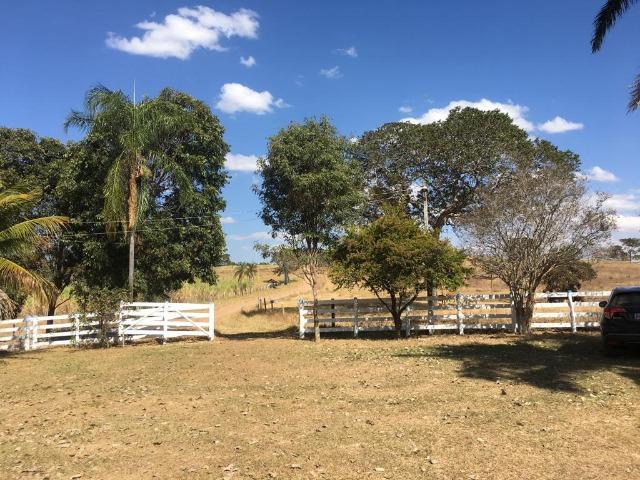 Fazenda 25 Alqueires. Município de Pontalina-GO - Foto 15