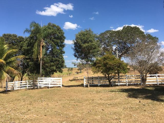 Fazenda 25 Alqueires. Município de Pontalina-GO - Foto 14