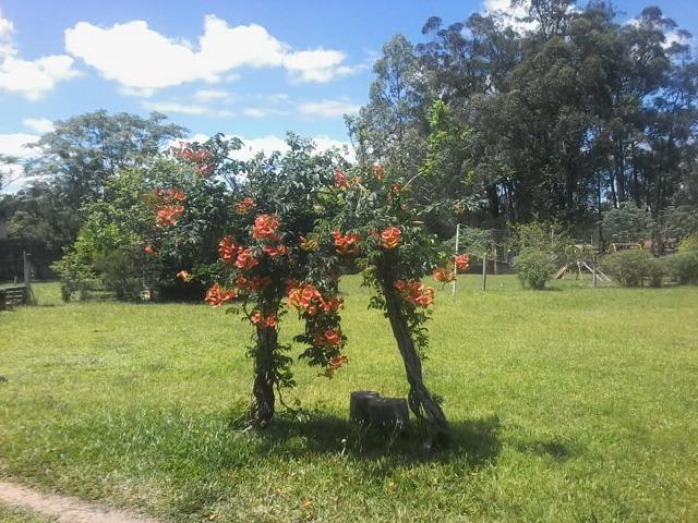 Pousada em Espaço Rural - Foto 13