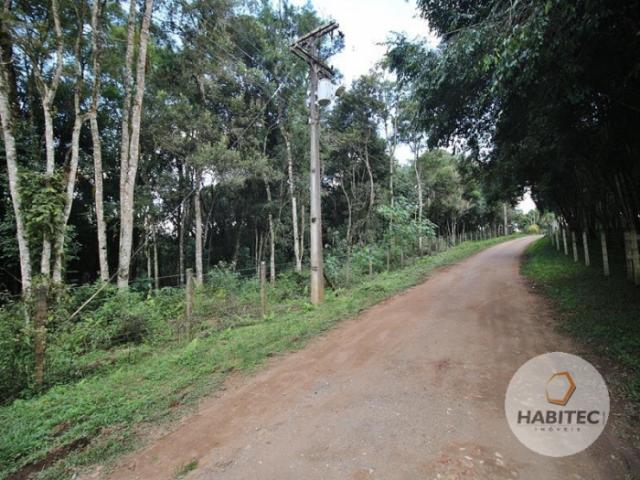 Terreno à venda em Piraquara, Piraquara cod:9739 - Foto 3