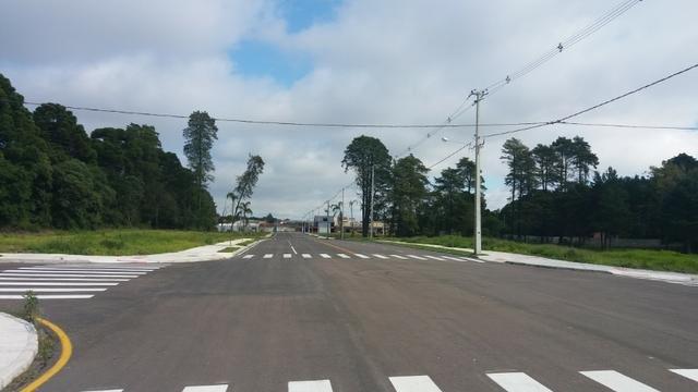 Terrenos - Foto 5