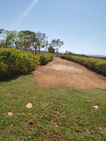 Fazenda de 510ha em Buritis MG - Foto 13