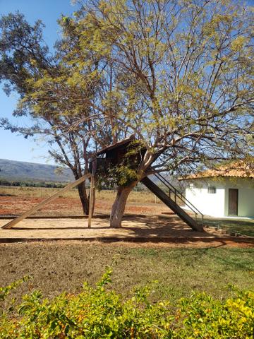 Fazenda de 510ha em Buritis MG - Foto 5
