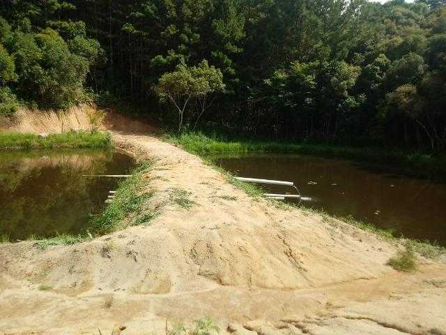 Terreno em lagoa dos ferreiras Mandirituba 24.200m 1 alqueire - Foto 8