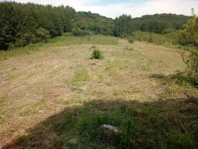 Terreno em lagoa dos ferreiras Mandirituba 24.200m 1 alqueire - Foto 13