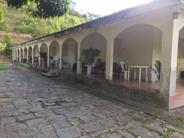 Vendo Chácara em Ribeirão PE - 10 hectares - Foto 3