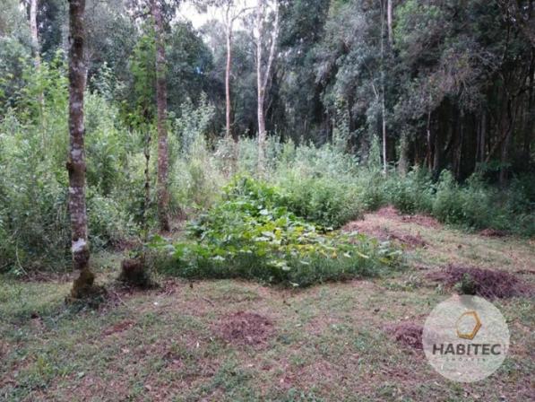 Terreno à venda em Piraquara, Piraquara cod:9739 - Foto 6
