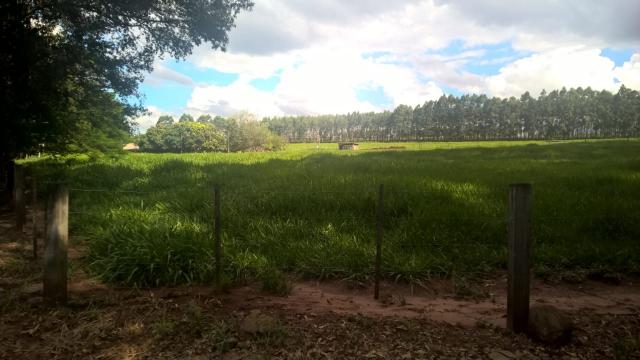 8315 | Sítio à venda em Iguaraçu - Foto 2