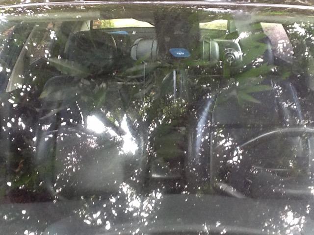 Vendo C4 Pallas por motivo de tratamento de saúde
