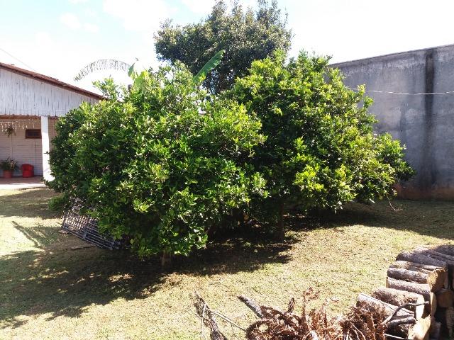 Terreno a Venda no Bairro Pilarzinho Curitiba - Foto 10