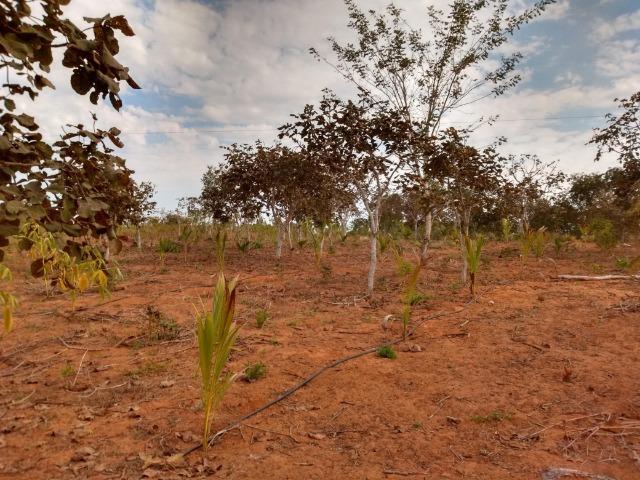 Chácara a Venda - Chapada dos Guimarães ? 10.000m² - Foto 14