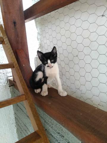 Doação - Foto 4