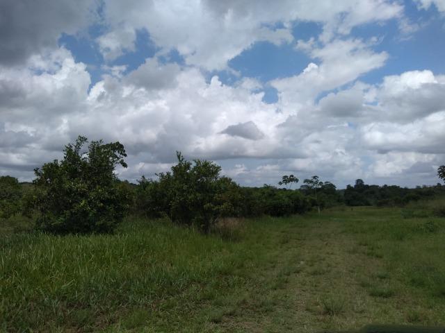 No Pará,175 hectares ha região de Castanhal-Pará por 1.400.000,00 documentada - Foto 8