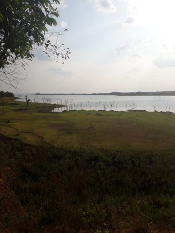Lote manso (condomínio Paraíso manso
