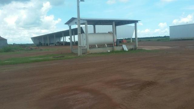 Fazenda de 16.250 Alqueires Paulista, Na Região de Confresa MT - Foto 13