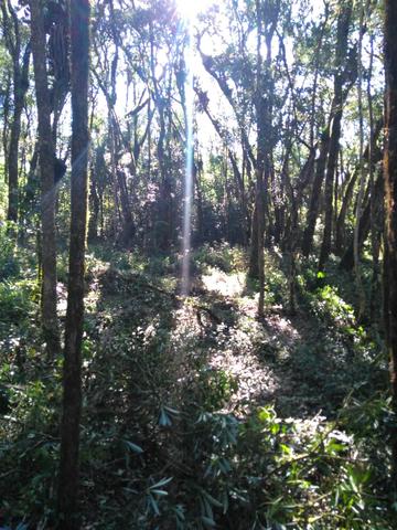 Chacara - Foto 2