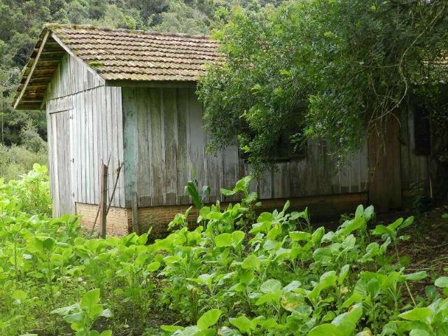 Chácara São José dos Pinhais, Troca por imóveis em Curitiba - Foto 10