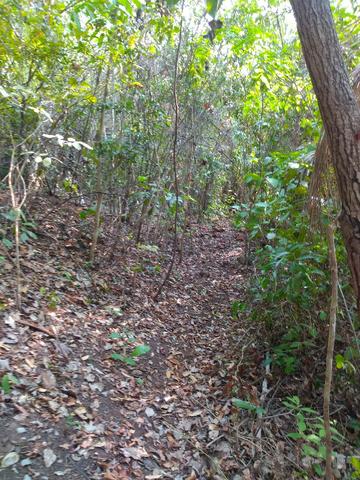 Chácara a Venda - Chapada dos Guimarães ? 10.000m² - Foto 5