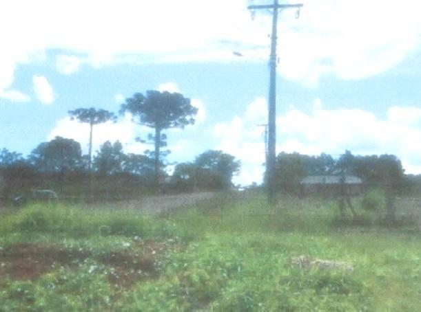 Terreno à venda, 8100 m² por r$ 315.000,00 - vila bela - guarapuava/pr - Foto 2