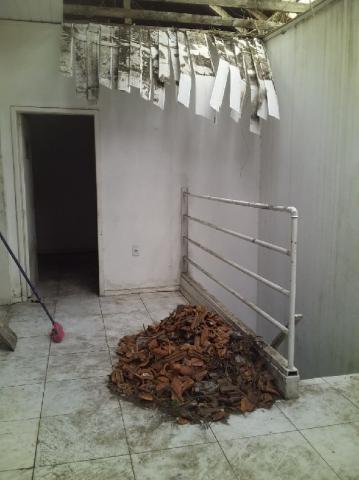 Casa à venda com 5 dormitórios em Passo dareia, Porto alegre cod:7650 - Foto 7