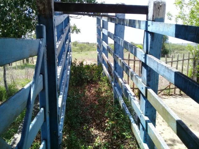 Excelente área de terra às margens da BR 116, com 614.196m - Foto 2